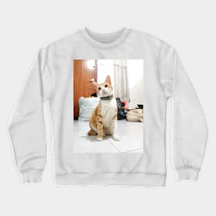 stylish cute cat renji Crewneck Sweatshirt